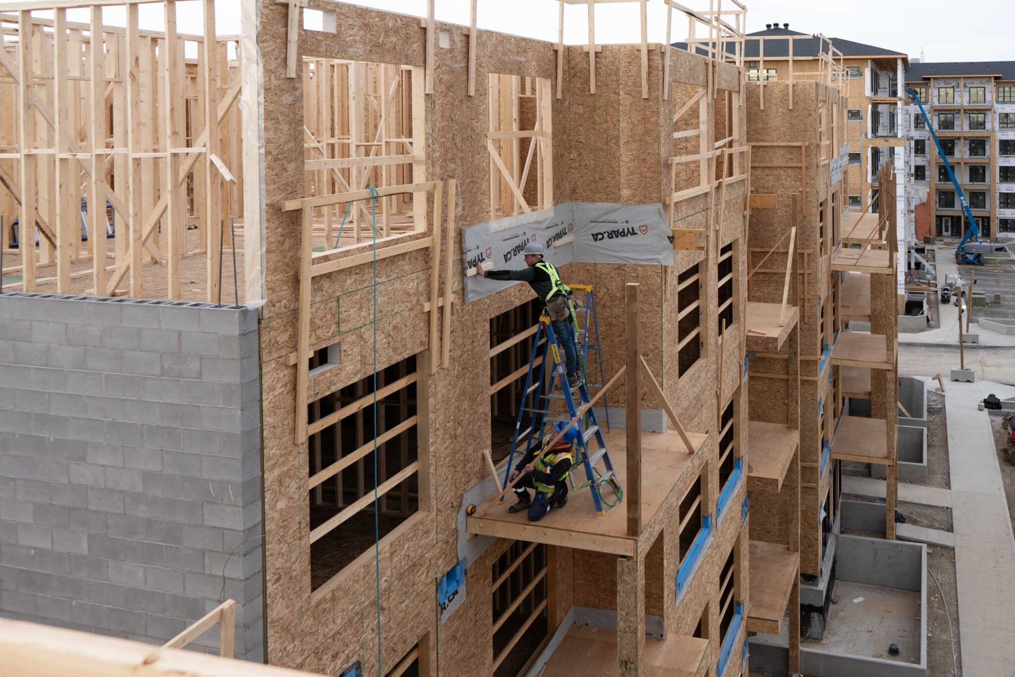 Martennial_20241111_0005