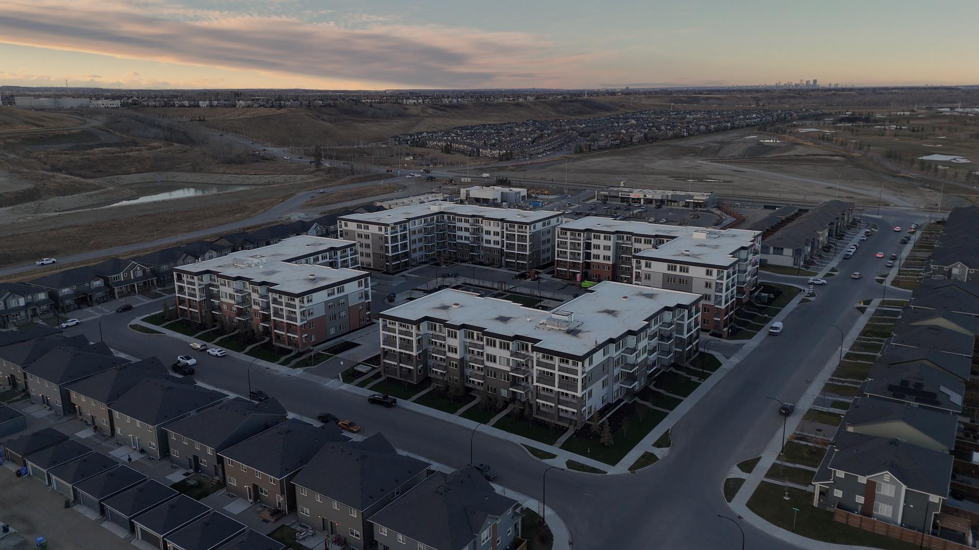 Calgary multi-family framing case study
